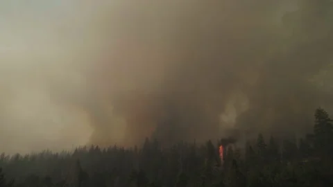 Caldor Fire Stock Footage 160138579