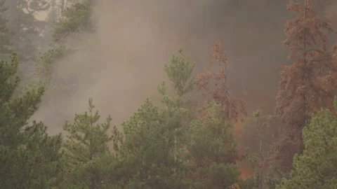 Caldor Fire Stock Footage 160138652