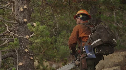 Caldor Fire Stock Footage 160138761