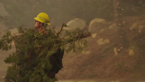 Caldor Fire Stock Footage 160138817