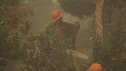 Caldor Fire Stock Footage 160138974