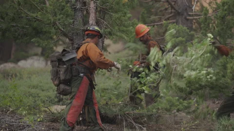 Caldor Fire Stock Footage 160138988