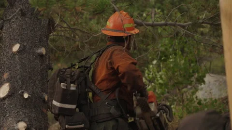 Caldor Fire Stock Footage 160139095