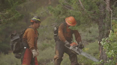 Caldor Fire Stock Footage 160139156