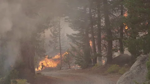 Caldor Fire Stock Footage 160139318