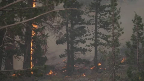 Caldor Fire Stock Footage 160139388