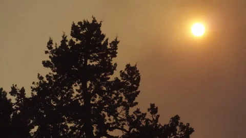 Caldor Fire Stock Footage 160139416