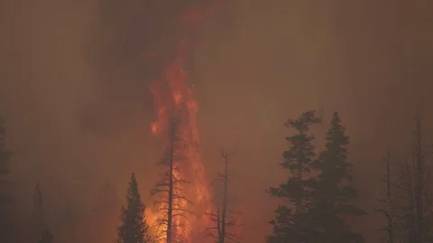 Caldor Fire Stock Footage 160139573
