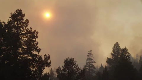Caldor Fire Stock Footage 160139585