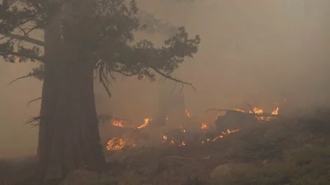 Caldor Fire Stock Footage 160139746