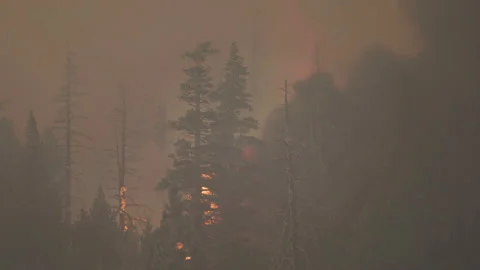 Caldor Fire Stock Footage 160139785
