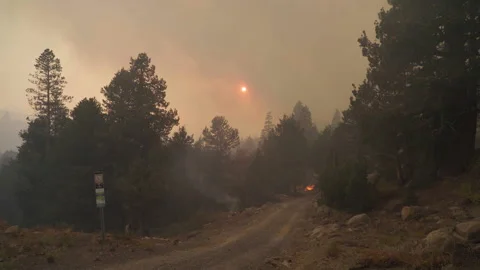 Caldor Fire Stock Footage 160139829