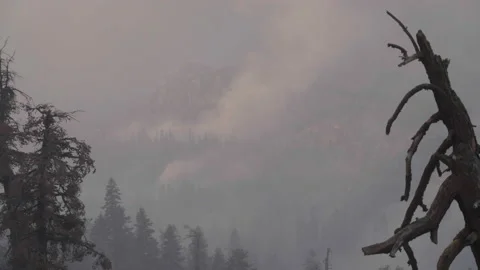 Caldor Fire Stock Footage 160140128