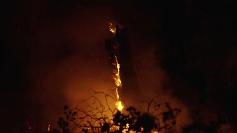 Caldor Fire Stock Footage 160140466