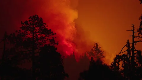 Caldor Fire Stock Footage 160141056
