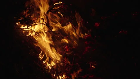 Caldor Fire Stock Footage 160157927