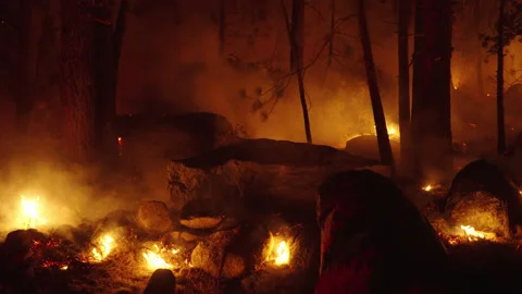 Caldor Fire Stock Footage 160161725