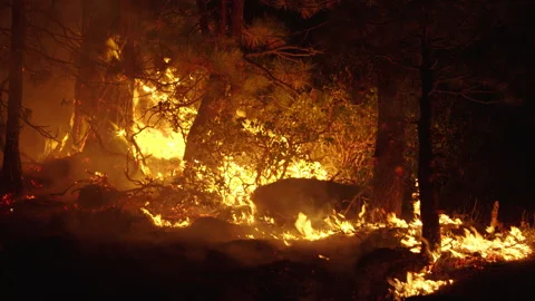 Caldor Fire Stock Footage 160161940
