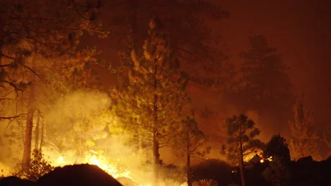 Caldor Fire Stock Footage 160162325