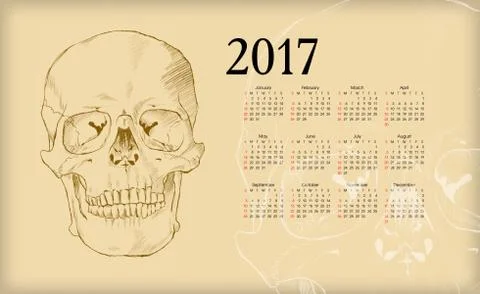 Calendar 2017. The human skull. Stock Illustration