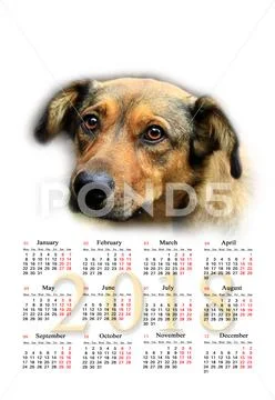 Calendar for 2018 with nice dog Stock Photos
