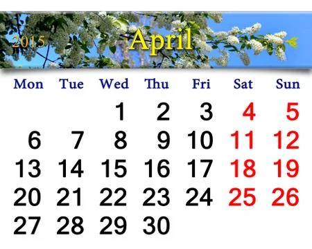 Calendar for april of 2015 year with image of bird cherry tree Stock Illustration