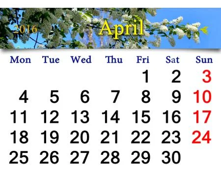 Calendar for April 2016 with bird cherry tree Stock Illustration