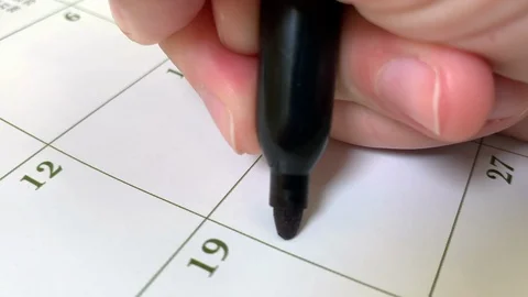 Calendar Back to School Stock Footage 115649127