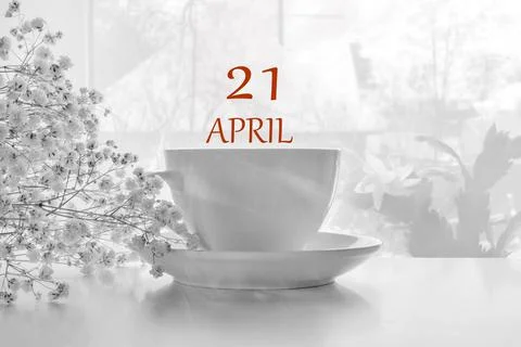 Calendar date on light background with porcelain white tea pair and white gyp Stock Photos