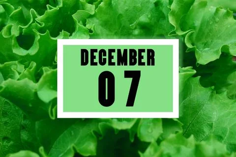 Calendar date oncalendar date on the background of green lettuce leaves.  Dec Stock Photos
