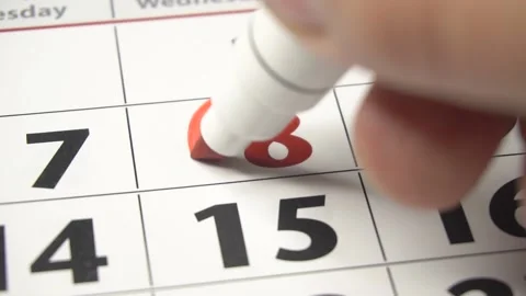 Calendar with an important event for 8 March, International Women's Day. Stock Footage 221895631