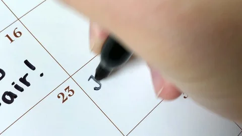 Calendar Job Interview Stock Footage 115659863