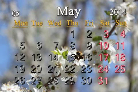 Calendar for the may of 2014 year Stock Illustration