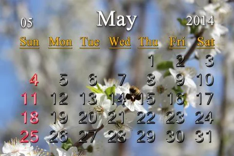 Calendar for the may of 2014 year Stock Illustration