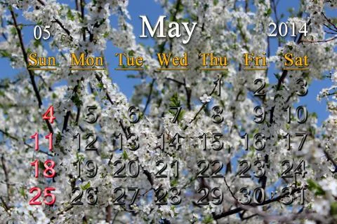 Calendar for the may of 2014 year Stock Illustration