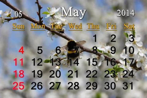 Calendar for the may of 2014 year Stock Illustration
