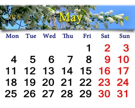Calendar for may of 2015 year with image of bird cherry tree Stock Illustration