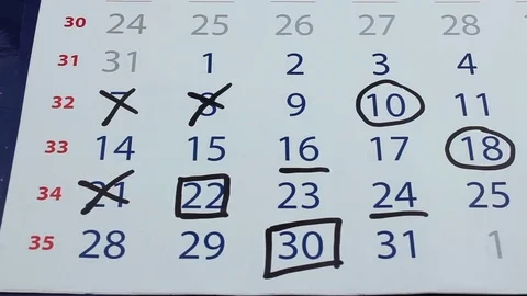 Calendar month with marks Stock Footage 81808592