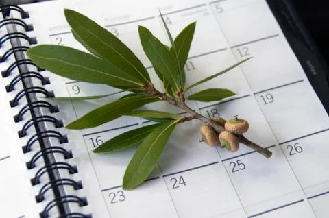 Calendar Stock Photos