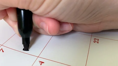 Calendar Practice Stock Footage 115648604