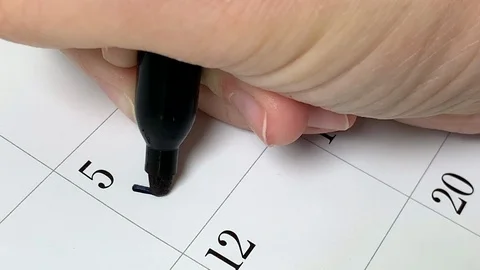 Calendar Vote 2 Stock Footage 115659505