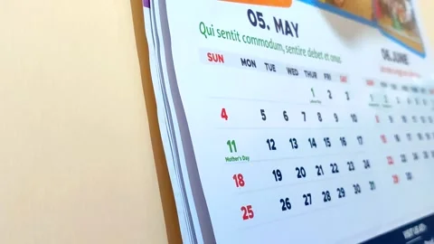 Calender Months Showing Time Lapse Stock Footage 308813046