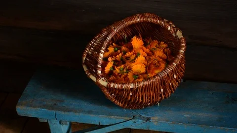 Calendula flowers in a basket Stock Footage 114355603