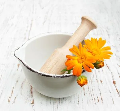 Calendula flowers Stock Photos