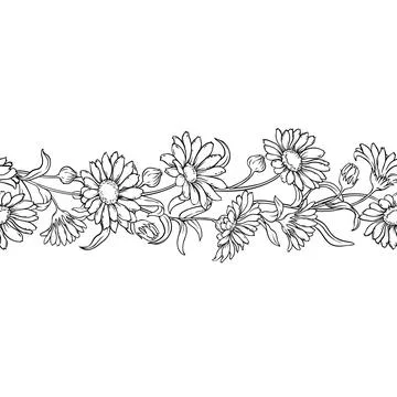 Calendula Outline Horizontal Seamless Pattern. Stock Illustration