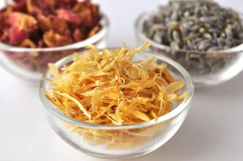 Calendula petals close up Stock Photos