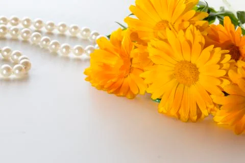 Calendula Stock Photos