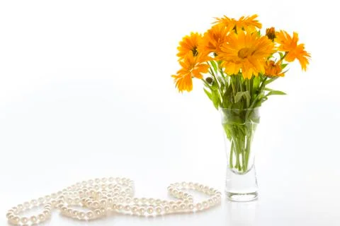 Calendula Stock Photos