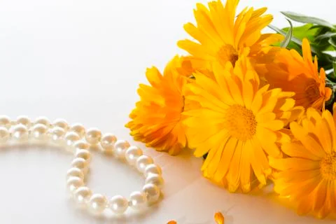 Calendula Stock Photos