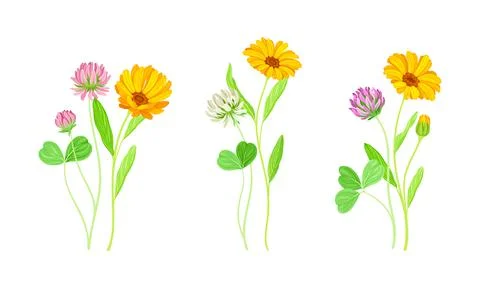 Flower Stem by @barnheartowl, A green flower stem, on @openclipart
